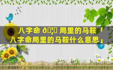 八字命 🦈 局里的马鞍「八字命局里的马鞍什么意思」
